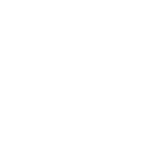 React JS Developer